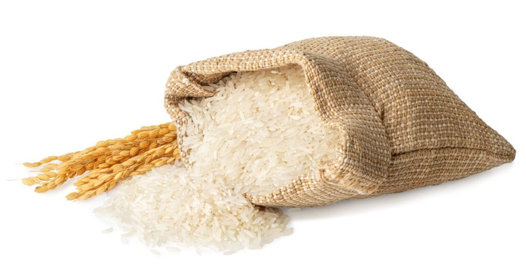 انواع برنج + شرایط مناسب برای کشت برنج